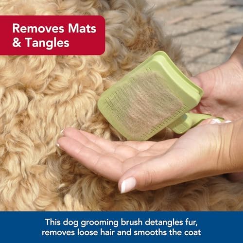 Safari Self-Cleaning Slicker Brush for Cats, 3.2 in.