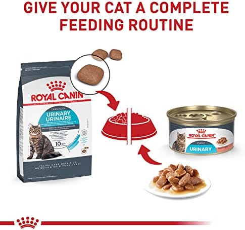 Royal Canin Feline Care Nutrition Urinary Care Adult Dry Cat Food