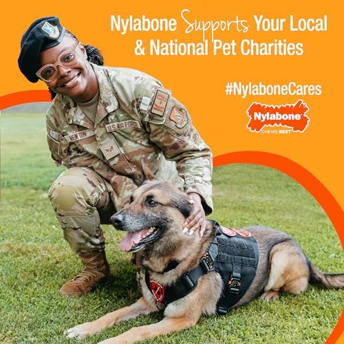Nylabone Textured Bone Power Chew Roasted Chicken Flavor Dog Toy, Medium