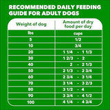 Iams ProActive Health Adult MiniChunks Dry Dog Food, 15 lbs.