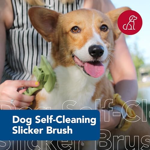 Safari Self-Cleaning Slicker Brush for Cats, 3.2 in.