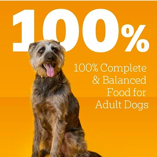 Pedigree Choice Cuts in Gravy with Beef Wet Dog Food, 13.2 oz.