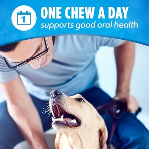 Edme-Petnsale Purina Dentalife Daily Oral Care Chicken Flavor Large Breed Dog Dental Chews – 18 Ct