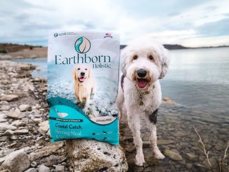 Earthborn Holistic Coastal Catch Grain-Free Dry Dog Food - 4 lbs
