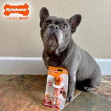 Nylabone Textured Bone Power Chew Roasted Chicken Flavor Dog Toy, Medium