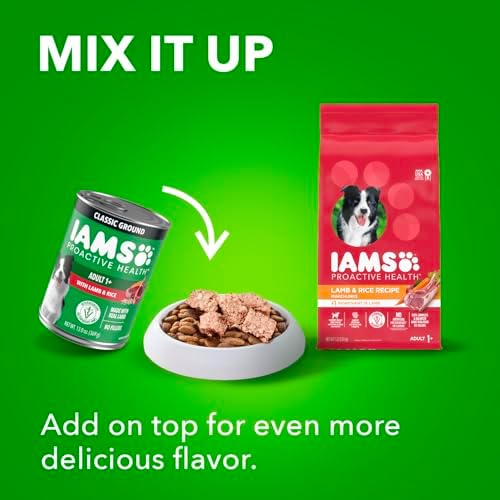 Iams ProActive Health Adult Ground Dinner with Lamb & Rice Wet Dog Food, 13 oz.