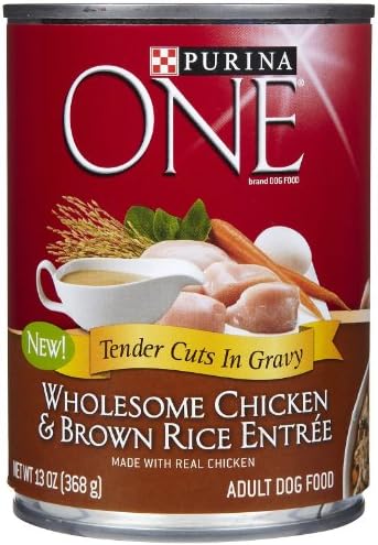 Purina ONE Tender Cuts in Gravy Chicken & Brown Rice Entree Wet Dog Food, 13 oz.