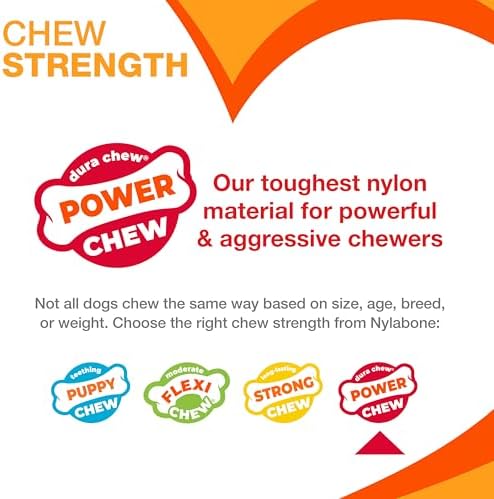 Nylabone Textured Bone Power Chew Roasted Chicken Flavor Dog Toy, Medium