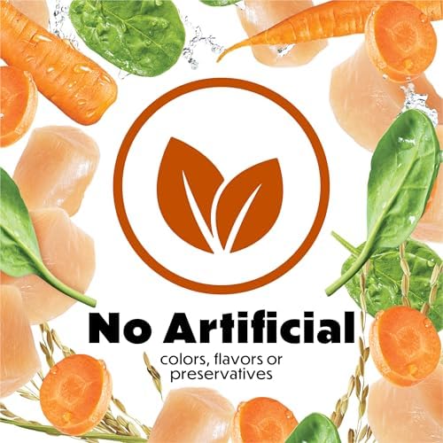 Purina Beneful Prepared Meals Roasted Chicken Recipe with Brown Rice Carrots & Spinach Wet Dog Food, 10 oz.
