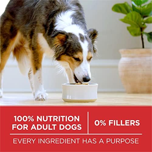 Purina ONE SmartBlend Natural Chicken & Rice Dry Dog Food, 8 lbs.