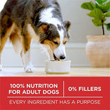 Purina ONE SmartBlend Natural Chicken & Rice Dry Dog Food, 8 lbs.