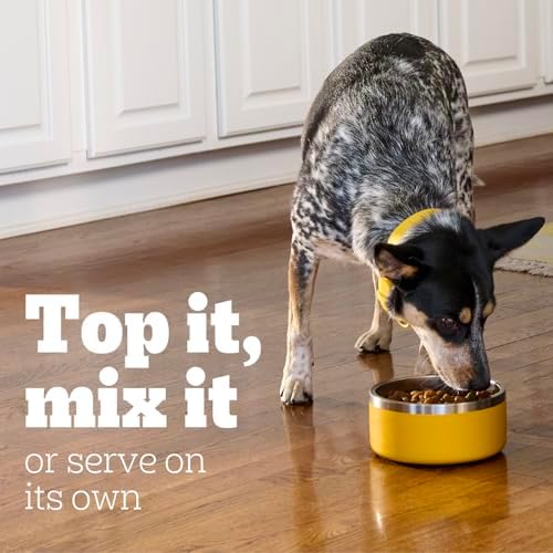 Pedigree Choice Cuts in Gravy with Beef Wet Dog Food, 13.2 oz.