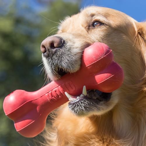 KONG Goodie Bone Classic Durable Natural Rubber Dog Bone