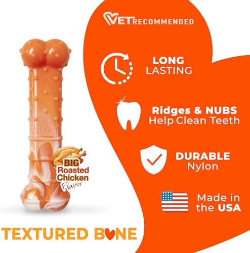 Nylabone Textured Bone Power Chew Roasted Chicken Flavor Dog Toy, Medium