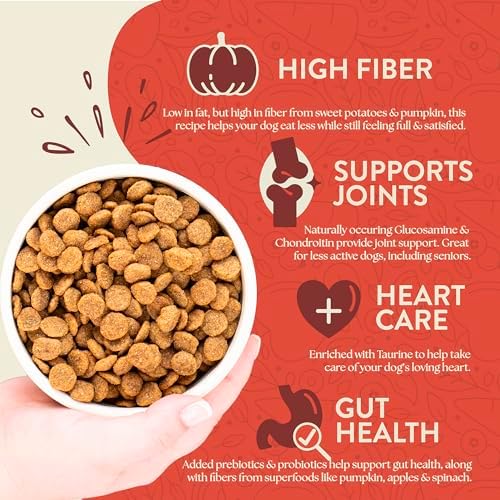 Earthborn Holistic Weight Control Chicken Meal & Vegetables Grain-Free Canned Dog Food