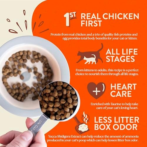 Earthborn Holistic Primitive Feline Grain-Free Natural Cat & Kitten Dry Food, 12.5 lbs.