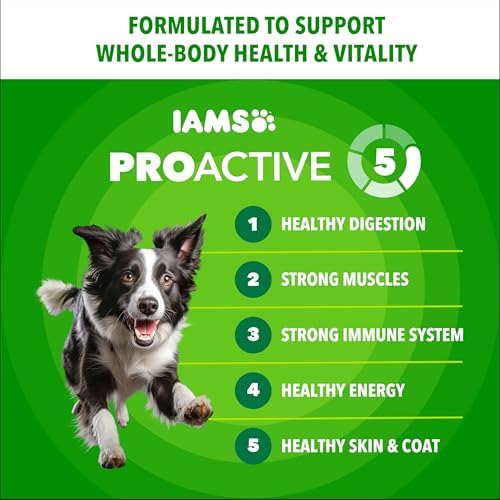Iams ProActive Health Adult MiniChunks Dry Dog Food, 15 lbs.