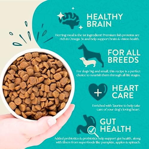 Earthborn Holistic Coastal Catch Grain-Free Dry Dog Food - 4 lbs