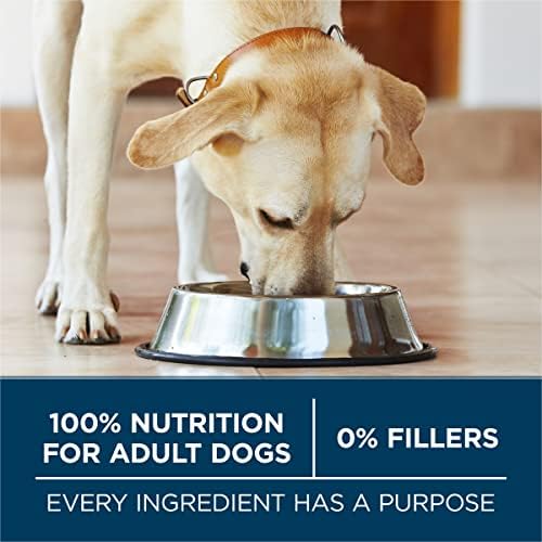 Purina ONE Plus Large Breed Adult Chicken Formula Dry Dog Food, 31.1 lbs.