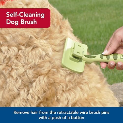 Safari Self-Cleaning Slicker Brush for Cats, 3.2 in.