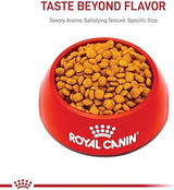 Royal Canin Feline Care Nutrition Urinary Care Adult Dry Cat Food