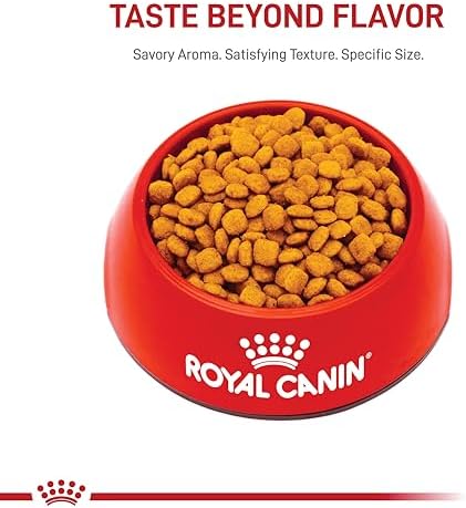 Royal Canin Feline Care Nutrition Urinary Care Adult Dry Cat Food