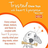 Nylabone Textured Bone Power Chew Roasted Chicken Flavor Dog Toy, Medium