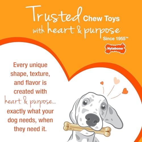 Nylabone Textured Bone Power Chew Roasted Chicken Flavor Dog Toy, Medium