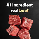 Cesar Canine Cuisine with Beef Dog Food Trays, 3.5 oz.