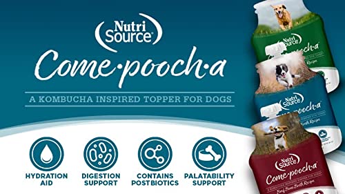 NutriSource Turkey Recipe Wet Dog Food, 12 oz.