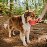 Messy Mutts Silicone Collapsible Travel Pet Bowl, 1.75 Cups
