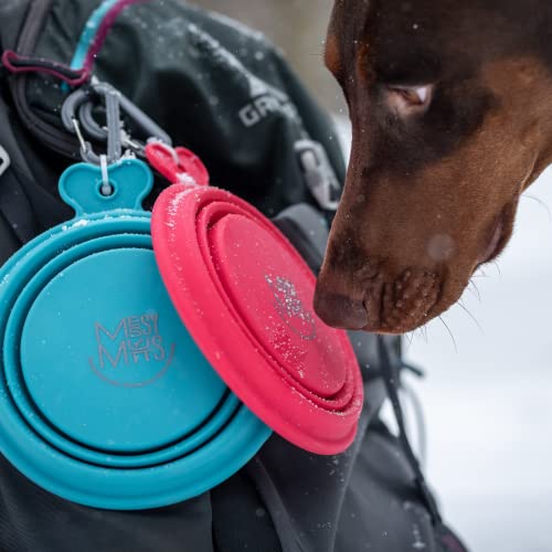 Messy Mutts Silicone Collapsible Travel Pet Bowl, 1.75 Cups