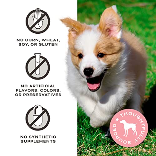 Primal Chicken Jerky Dog Treats, 4 oz.