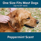 Wondercide Flea & Tick Dog Collar with Natural Essential Oils