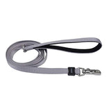 Coastal Inspire Enhanced Core Dog Leash Grey, 5/8 in. x 6 ft.