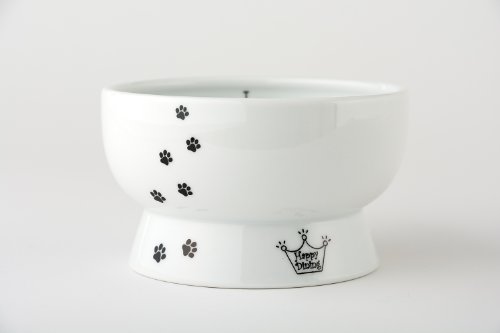 Necoichi Raised Cat Water Bowl with Measurement Lines