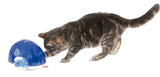 Trixie Snack Box Strategy Game for Cats