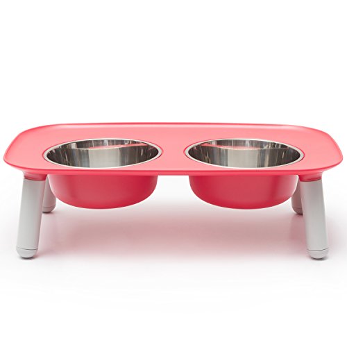 Messy Mutts Raised Double Feeder with Stainless Steel Bowls Watermelon