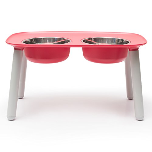 Messy Mutts Raised Double Feeder with Stainless Steel Bowls Watermelon
