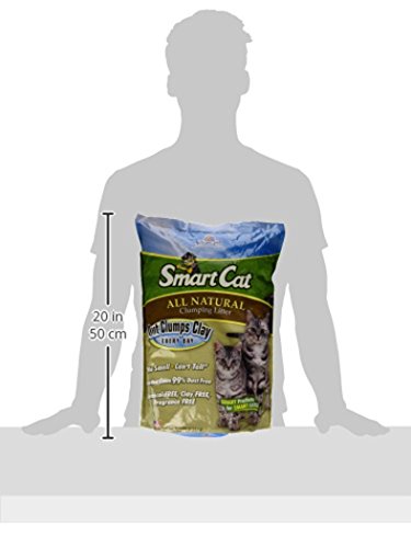 SmartCat All Natural Clumping Cat Litter, 10 lbs.