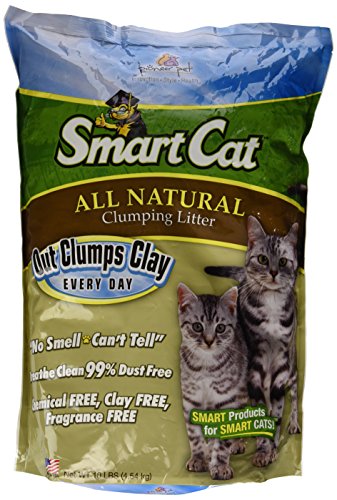 SmartCat All Natural Clumping Cat Litter, 10 lbs.