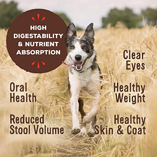 Primal Chicken Formula Freeze-Dried Pronto Dog Food, 16 oz.