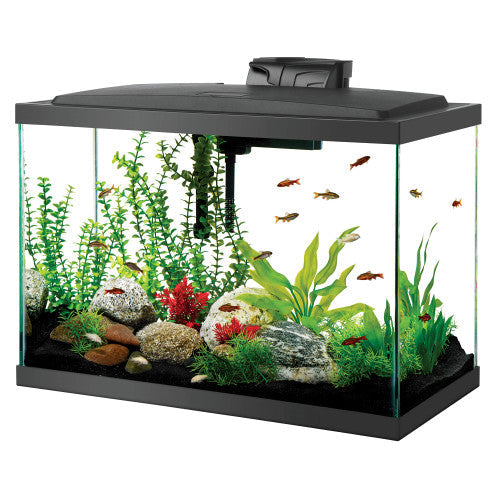 Aqueon LED Aquarium Kit Rectangle