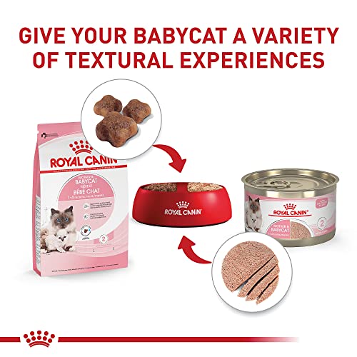Royal Canin Mother & Babycat Dry Cat Food, 6 lbs.