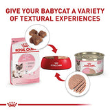 Royal Canin Mother & Babycat Dry Cat Food, 6 lbs.