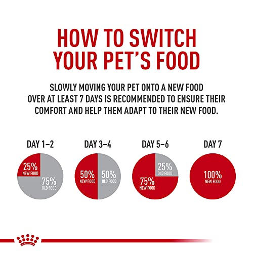 Royal Canin Mother & Babycat Dry Cat Food, 6 lbs.