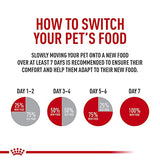 Royal Canin Mother & Babycat Dry Cat Food, 6 lbs.