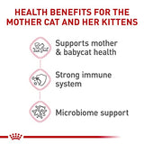 Royal Canin Mother & Babycat Dry Cat Food, 6 lbs.