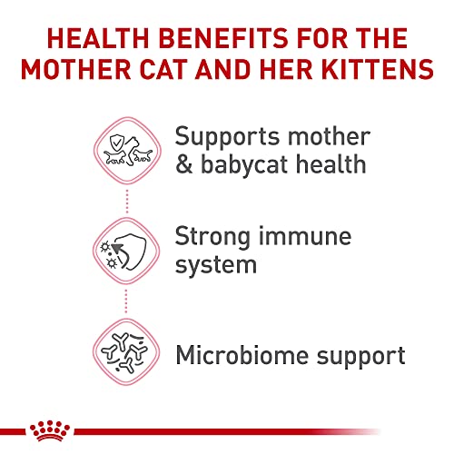 Royal Canin Mother & Babycat Dry Cat Food, 6 lbs.