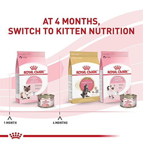 Royal Canin Mother & Babycat Dry Cat Food, 6 lbs.